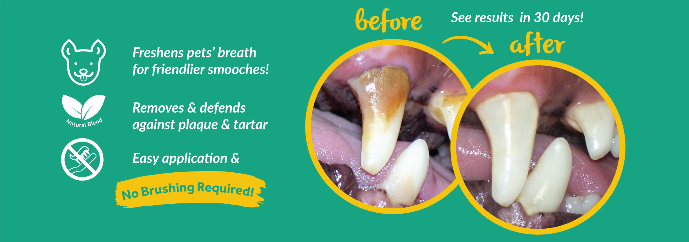 TropiClean-Fresh-Breath-Landing-Page_Before-After