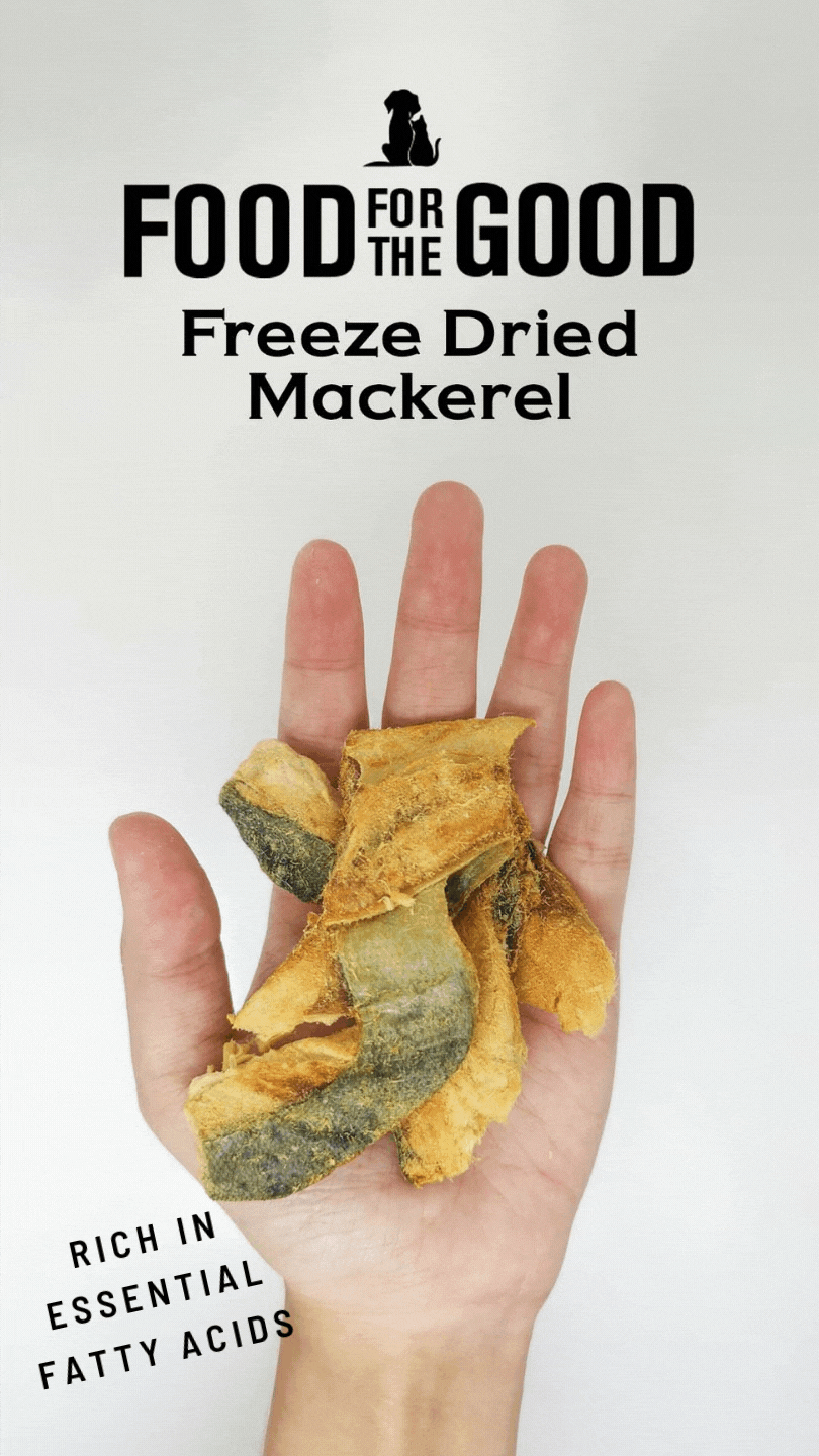 FFTG Freeze Dried Mackerel