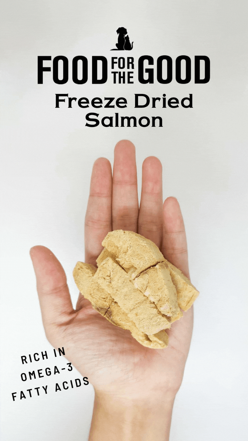 FFTG Freeze Dried Salmon