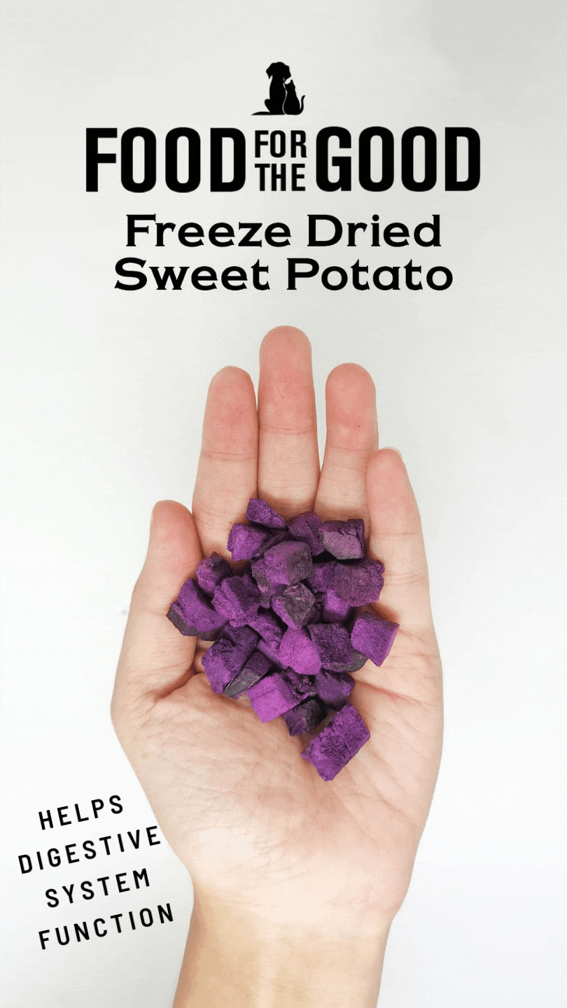 FFTG Freeze Dried Sweet Potato