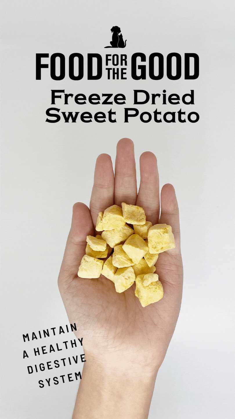 FFTG Freeze Dried Sweet Potato