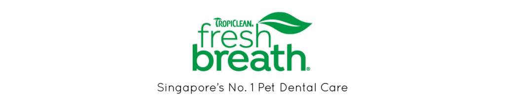Tropiclean Fresh Breath Silversky Delivering Wow To Everything Pets