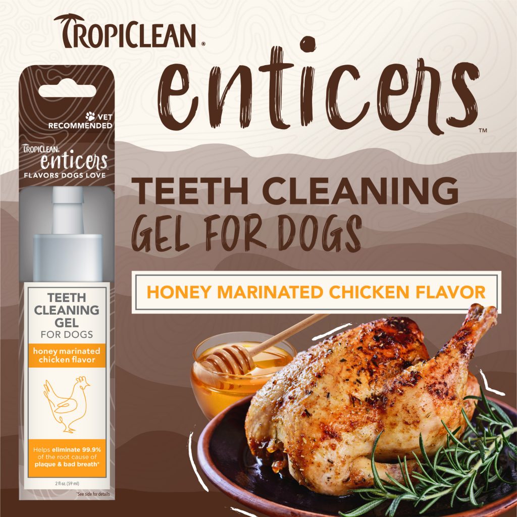 Tropiclean Enticers Silversky Delivering Wow To Everything Pets
