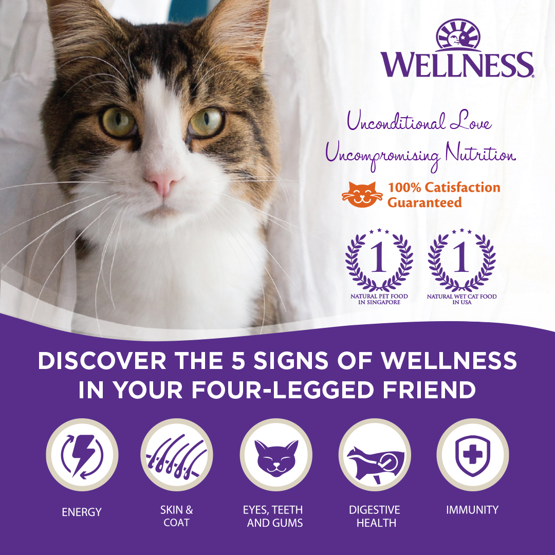Wellness CORE Cat Banner Image