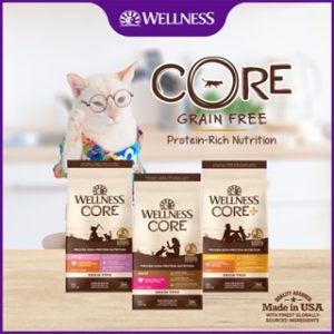 Wellness CORE Dry Cat Food Recipes