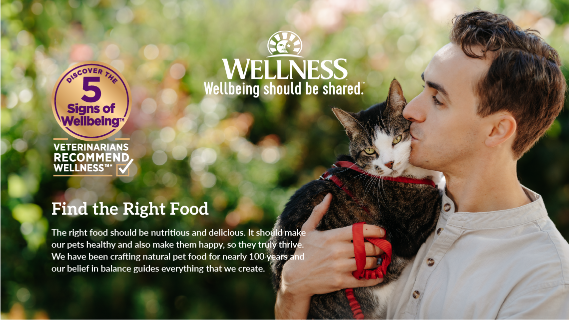 Wellness Core Cat Food Main Banner