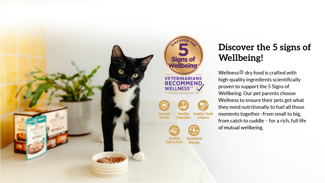 Wellness CORE Cat 5 Signs of Wellbeing