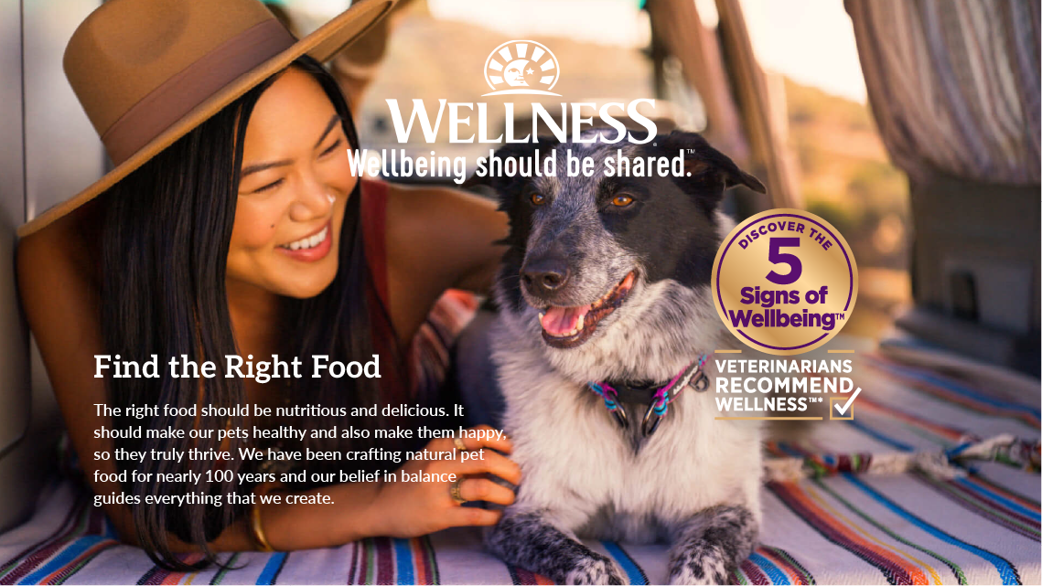 Wellness Core Dog Food Main Banner