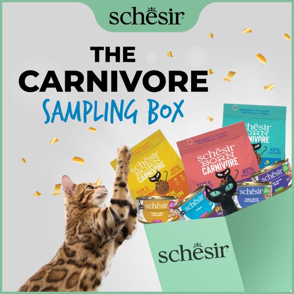Schesir Born Carnivore Sampling Box