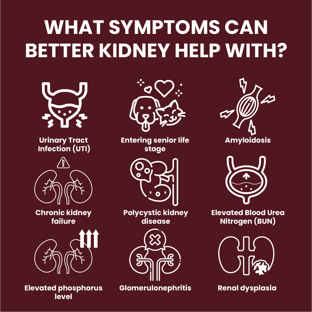 Good Gut Better Kidney Usage Info