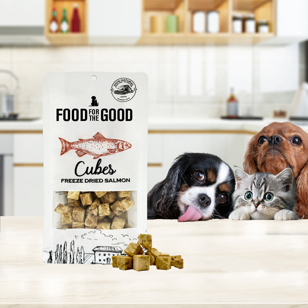 Freeze Dried Salmon Cubes