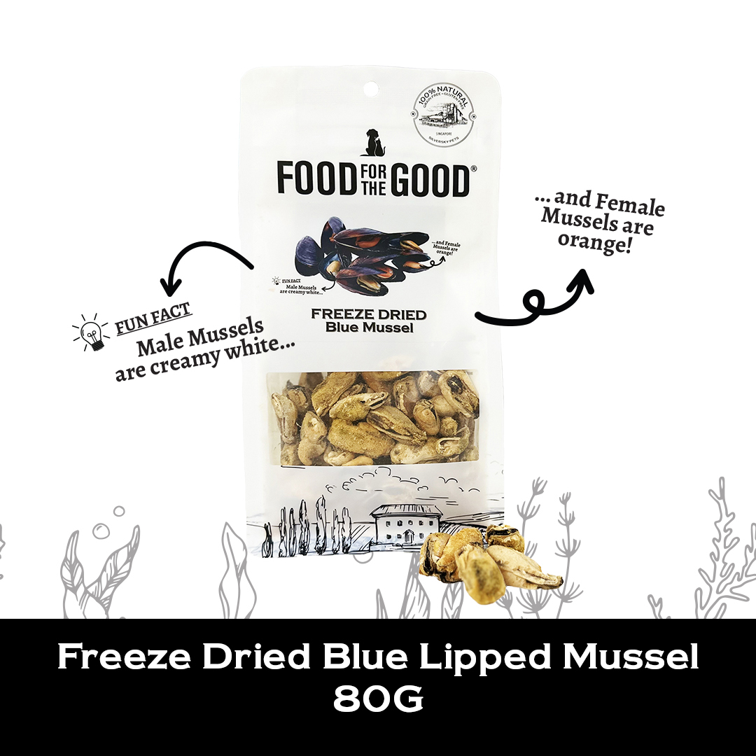 Freeze Dried Blue Lipped Mussel