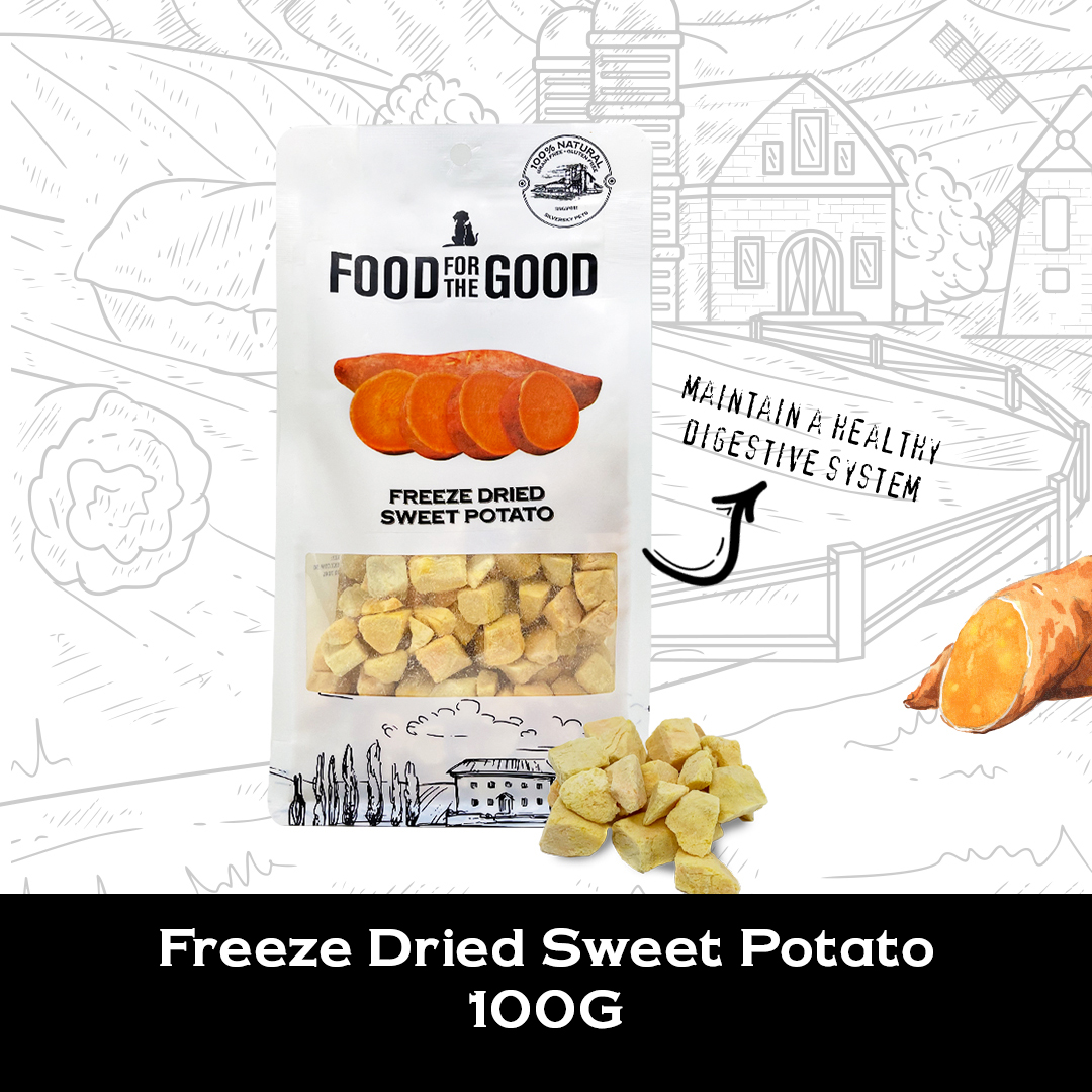 Freeze Dried Sweet Potato