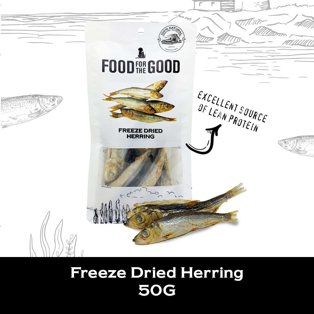 Freeze Dried Herring