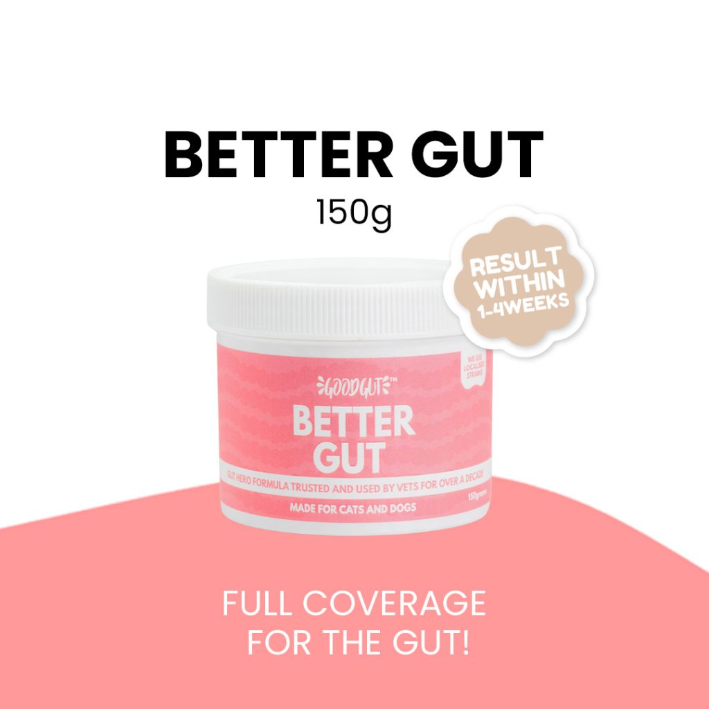 Good Gut Better Gut Supplement