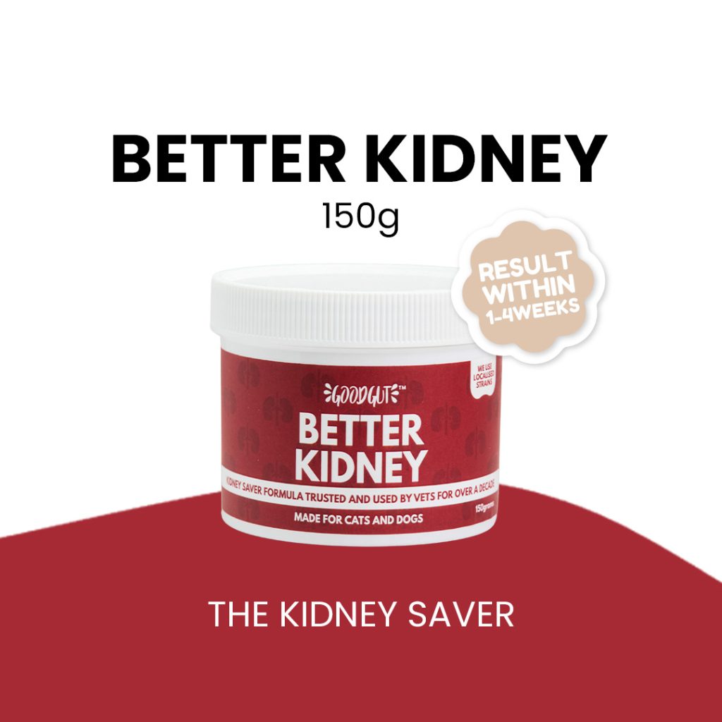 Good Gut Better Kidney
