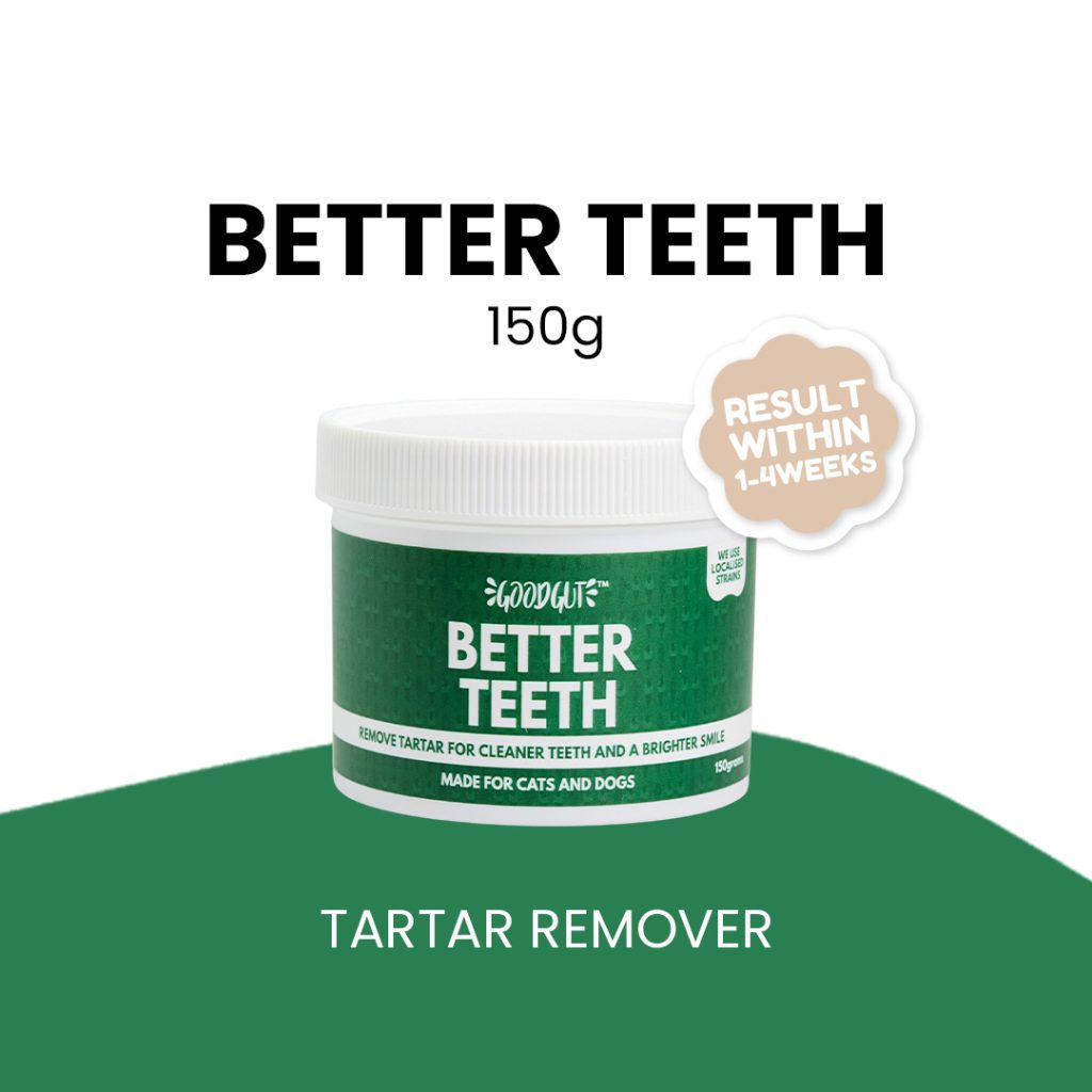 Good Gut Better Teeth