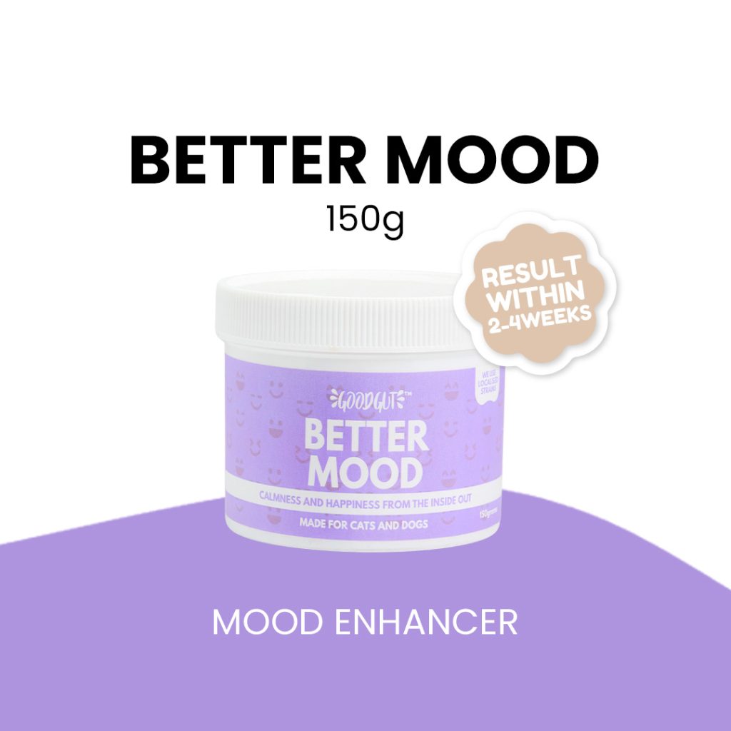 Good Gut Better Mood