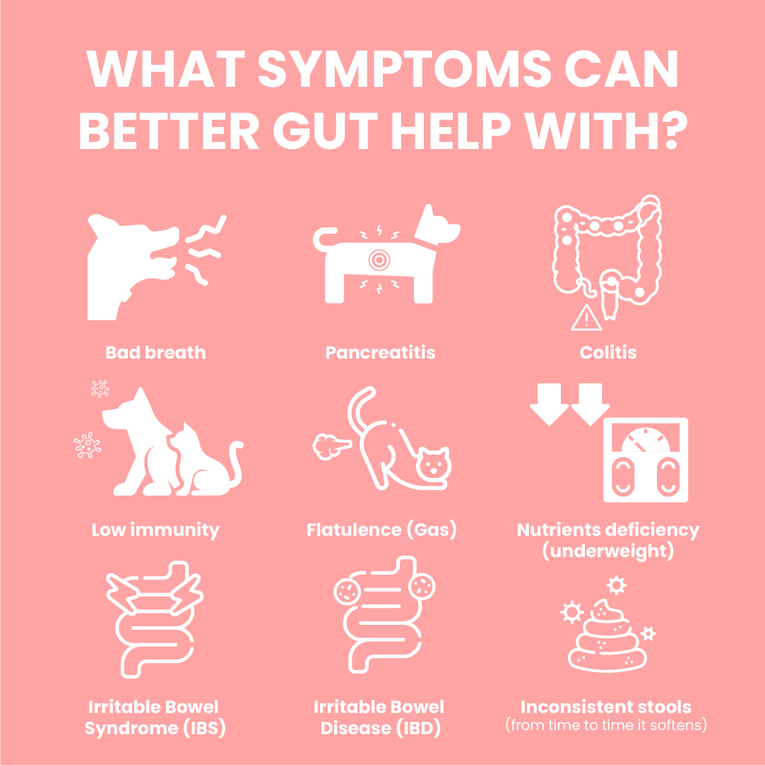 Good Gut Better Gut Recommended use