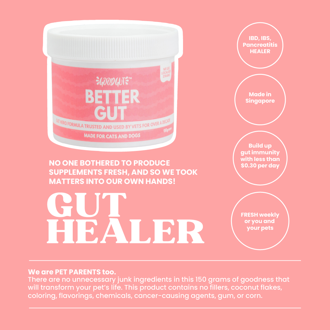 Better Gut Product Info