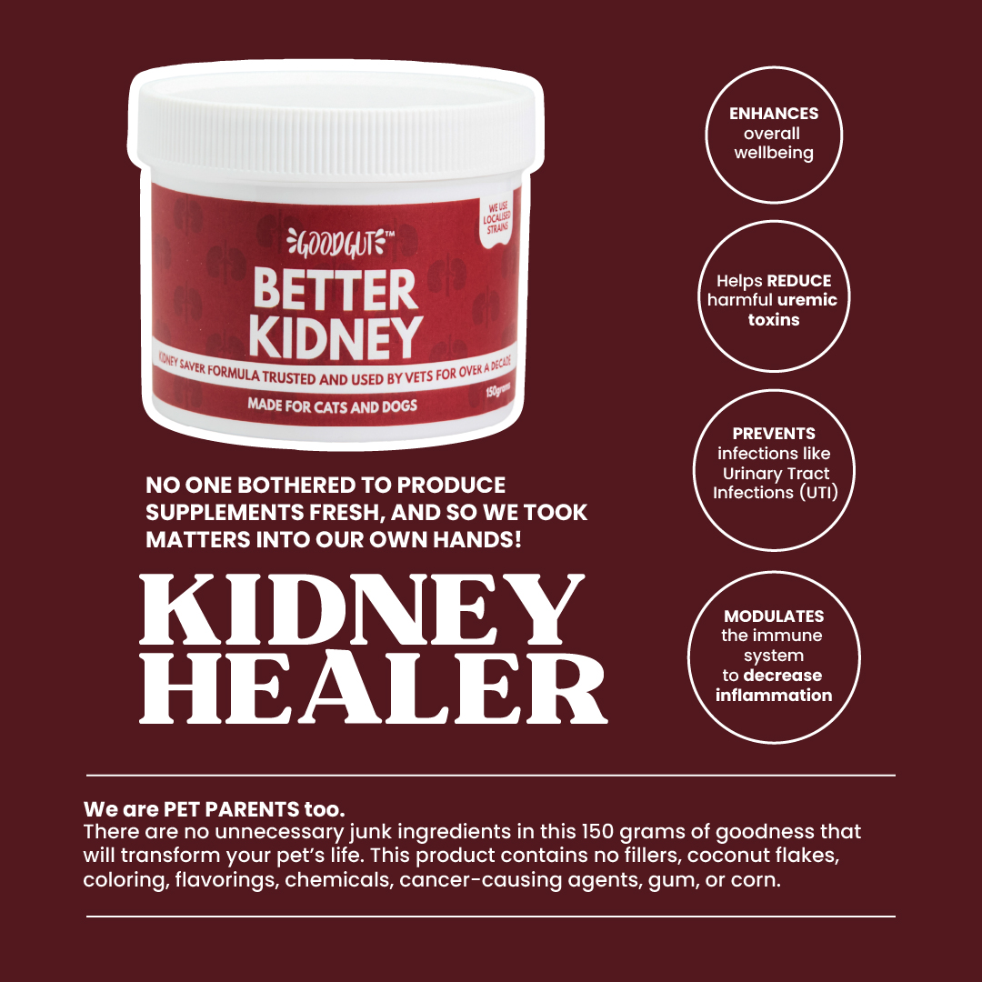 Good Gut Better Kidney Product Info