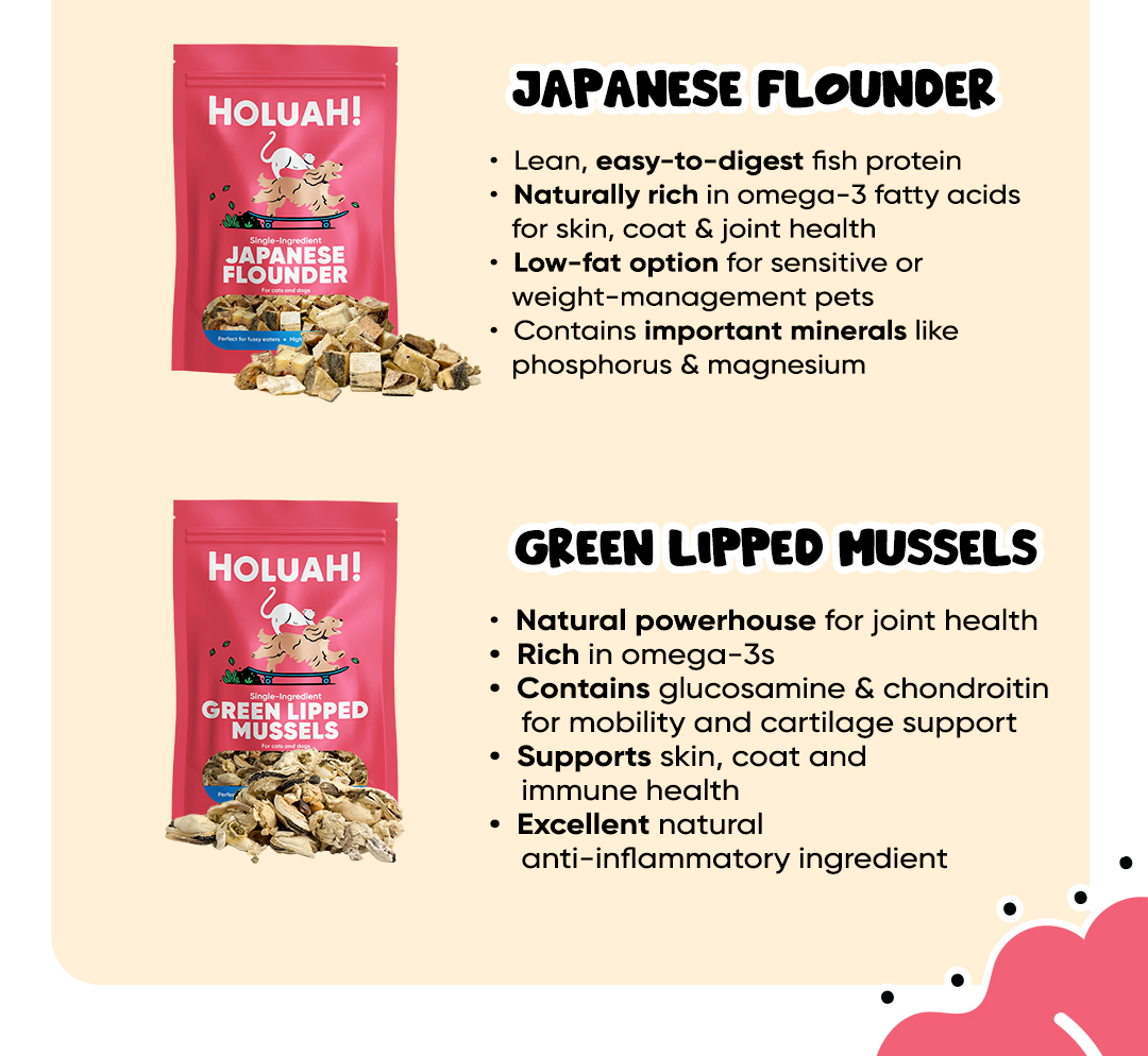 Holuah! Cat & Dog Treats - Japanese Flounder, Green Lipped Mussels