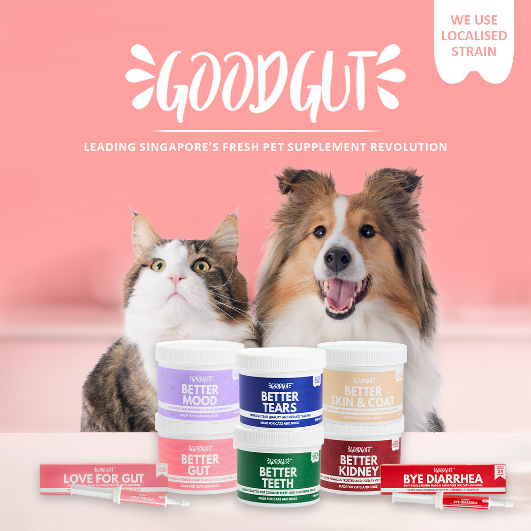 Good Gut Supplements For Dogs & Cats