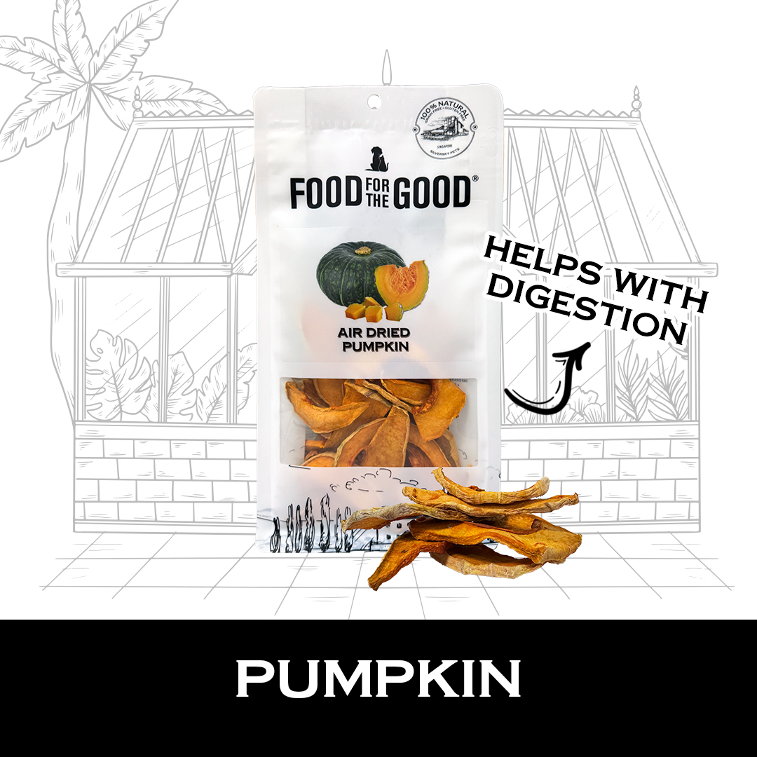 Food For The Good Air Dried Pumpkin