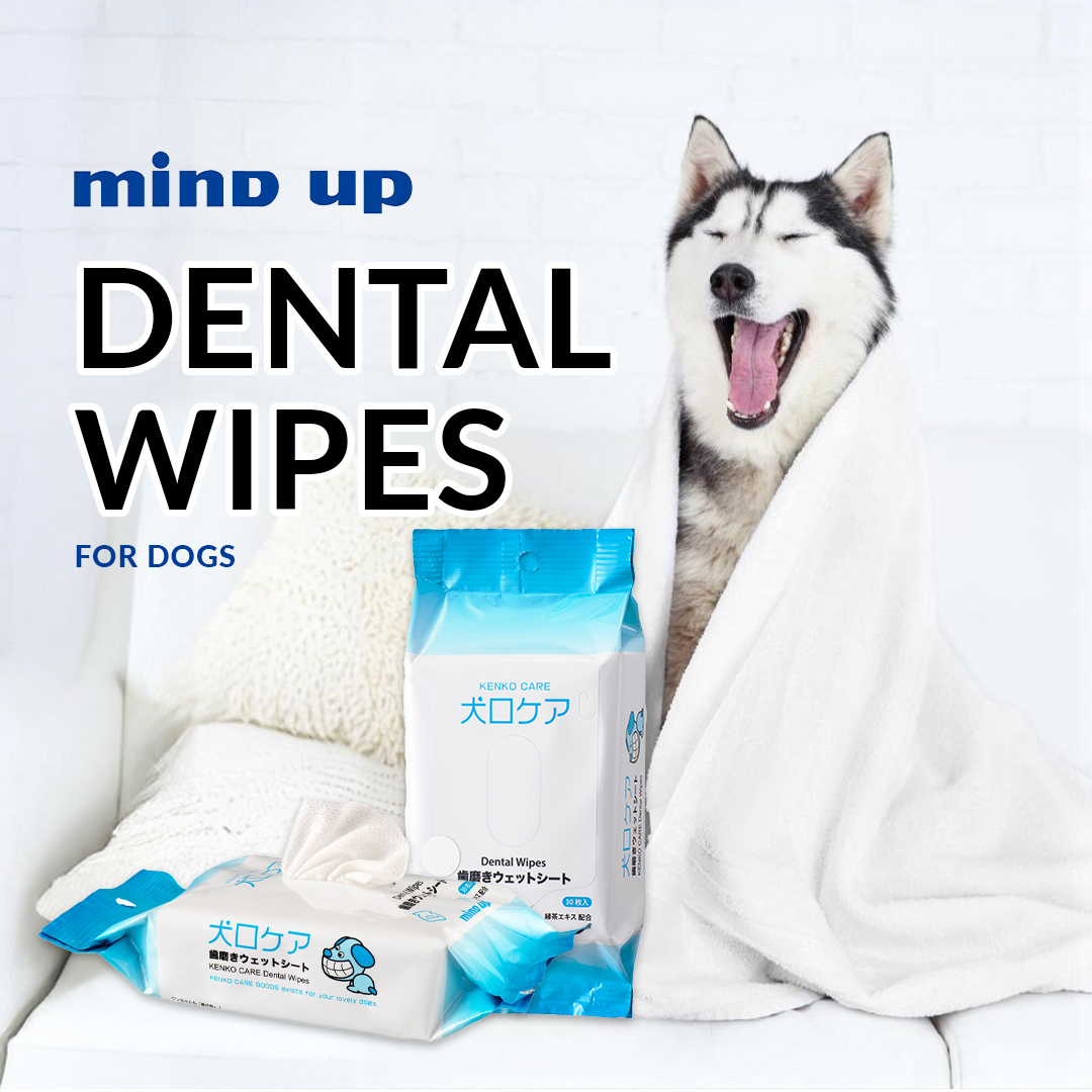 Dental Wipes