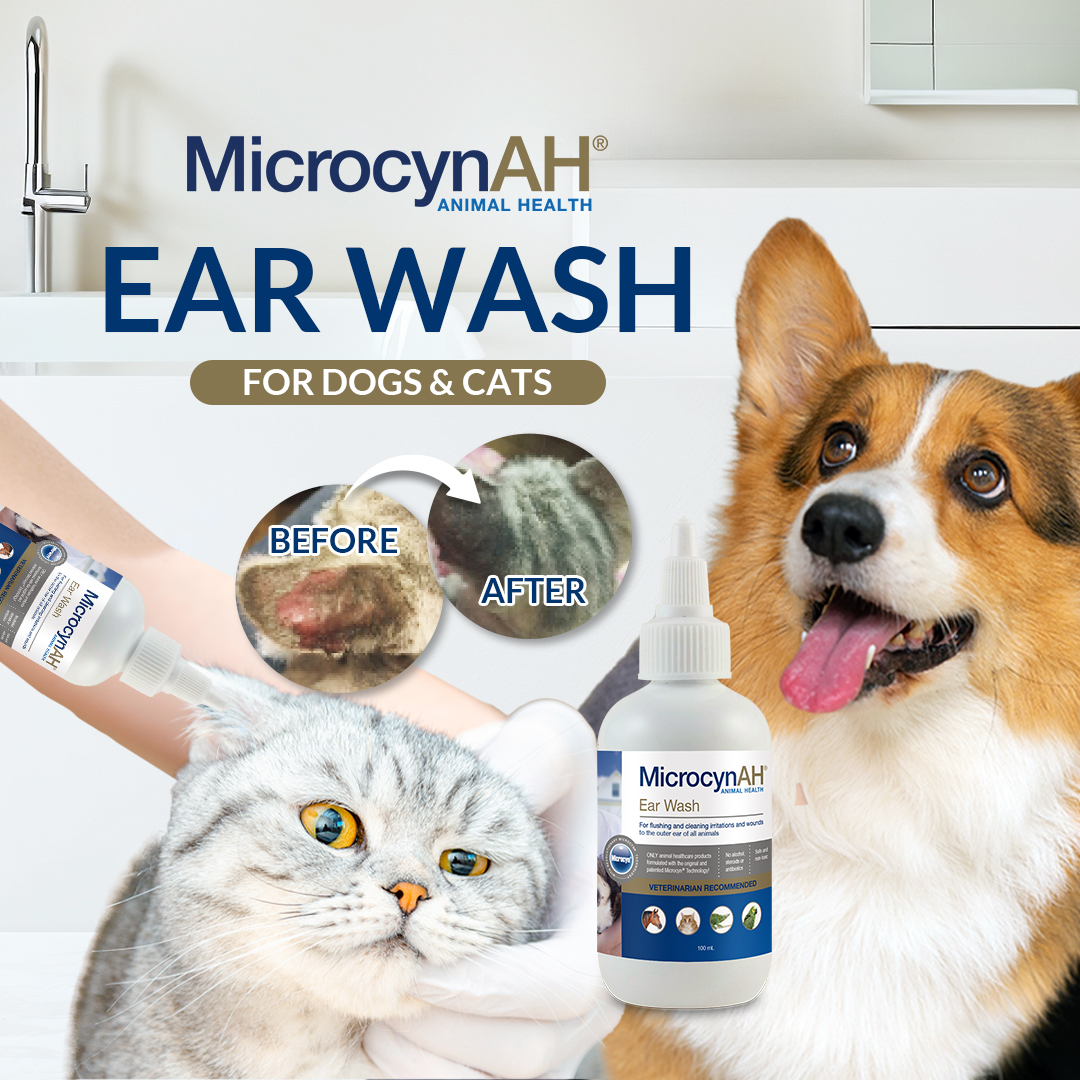 Ear Wash - no border