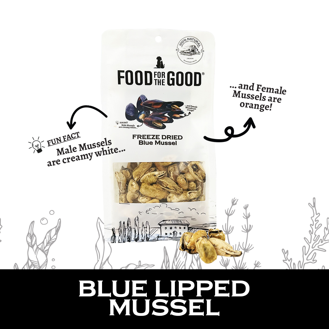 Food For The Good Freeze Dried Blue Lipped Mussel