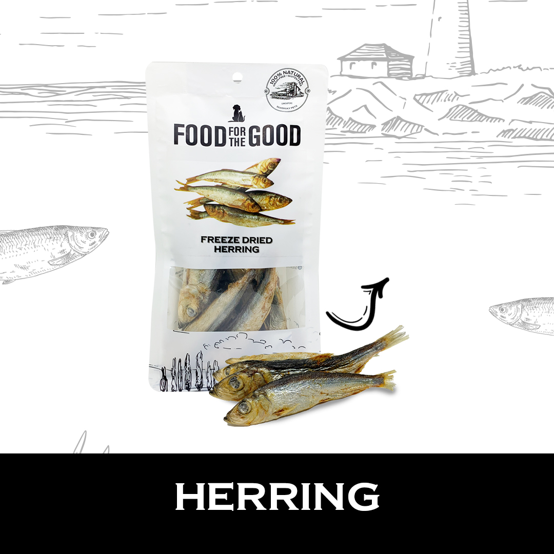 Food For The Good Freeze Dried Herring