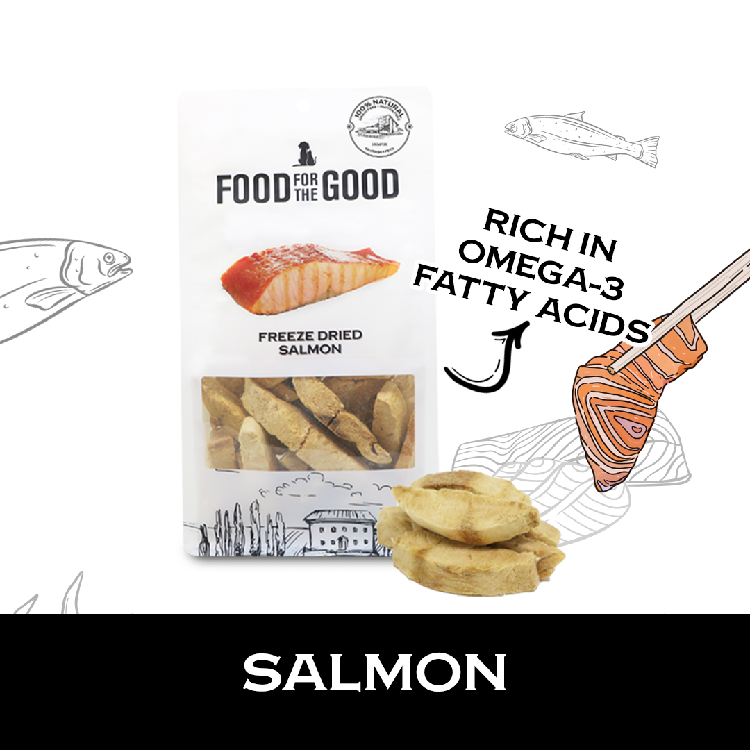Food For The Good Freeze Dried Salmon