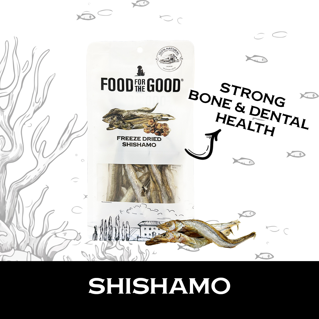 Food For The Good Freeze Dried Shishamo