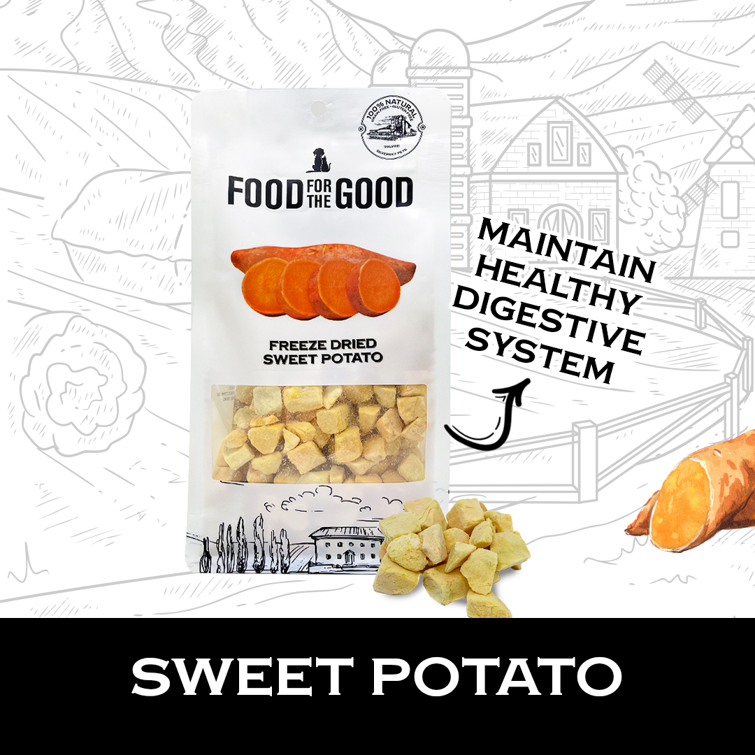 Food For The Good Freeze Dried Sweet Potato