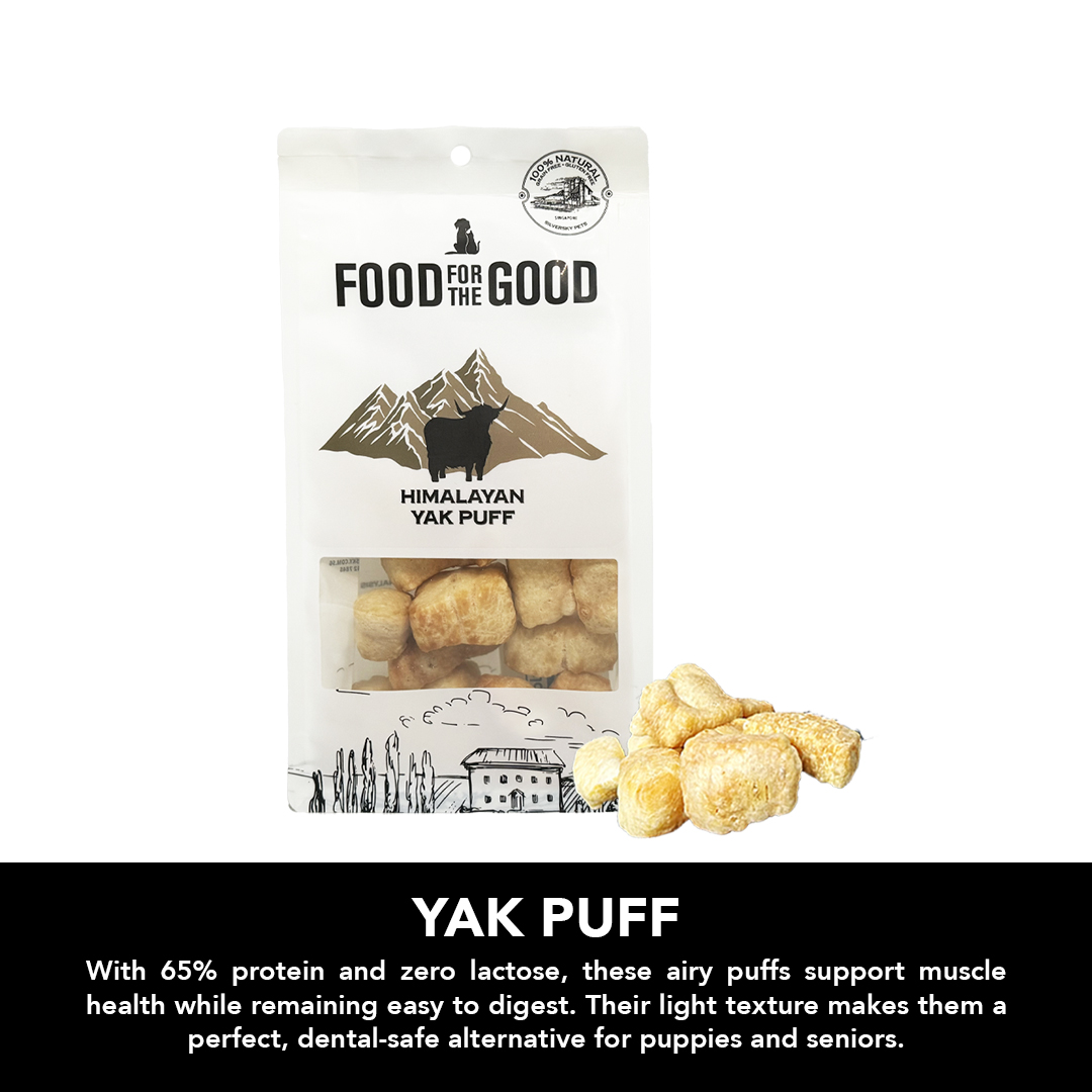 Food for the Good Himalayan Yak Puff