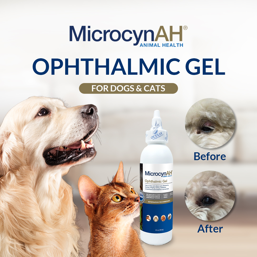 Ophthalmic Gel - no border