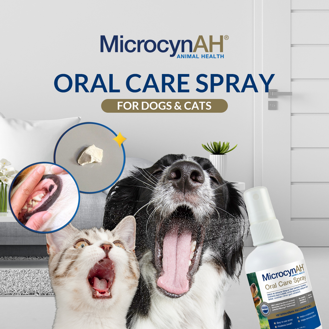 Oral Care Spray - no border