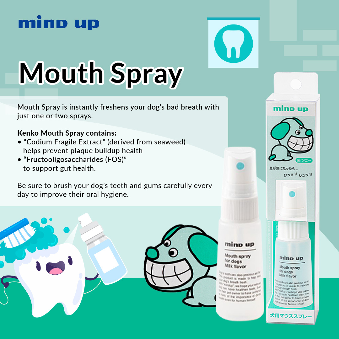 Toothbrush & LIQUID & Kits 6