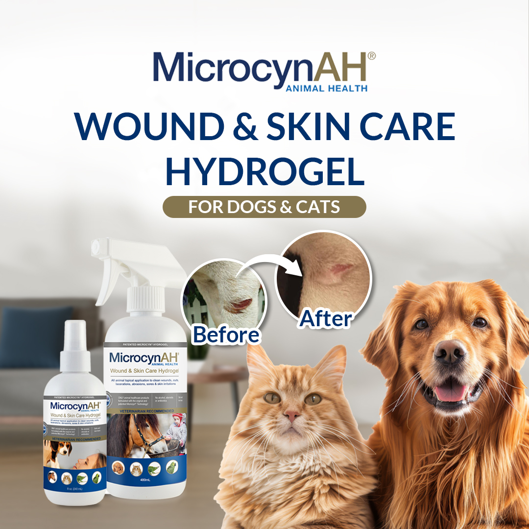 Wound & Skin Care Hydrogel - no border