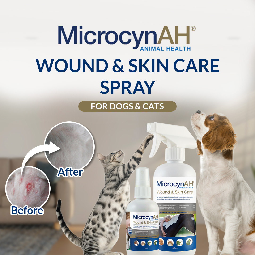 Wound & Skin Care Spray 1 no border