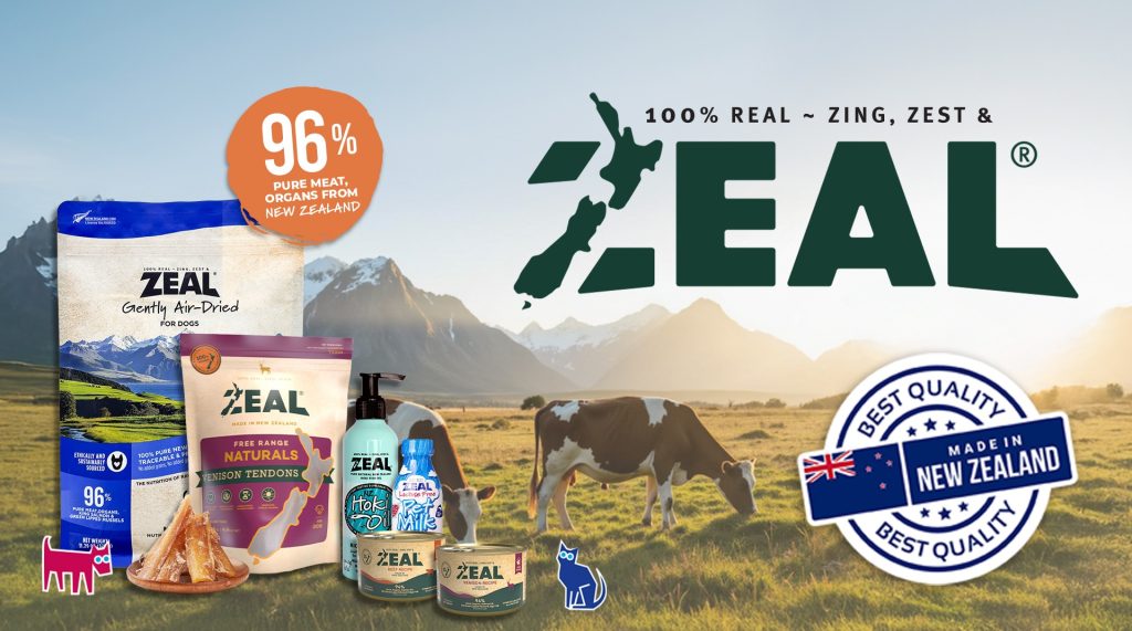 Zeal-MainPage-1