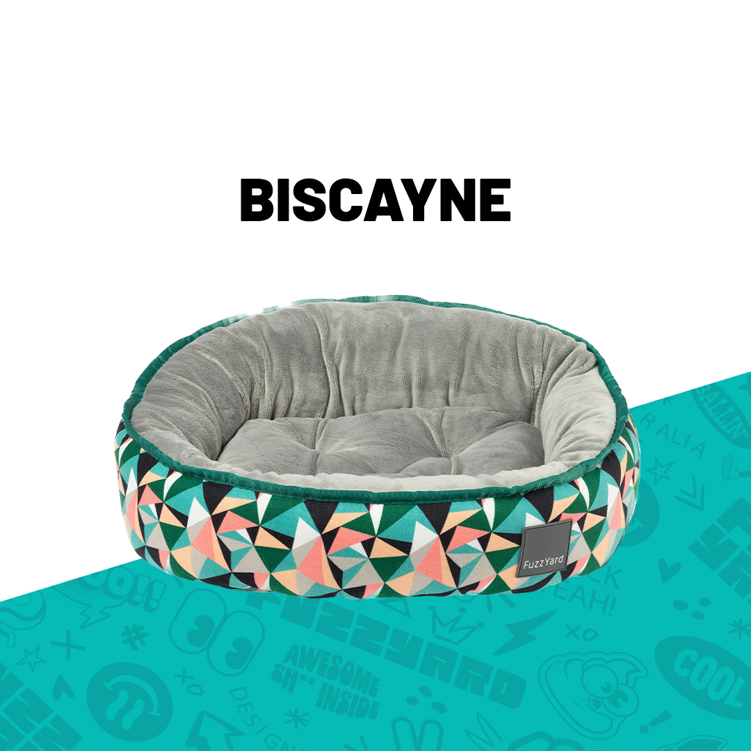 biscayne
