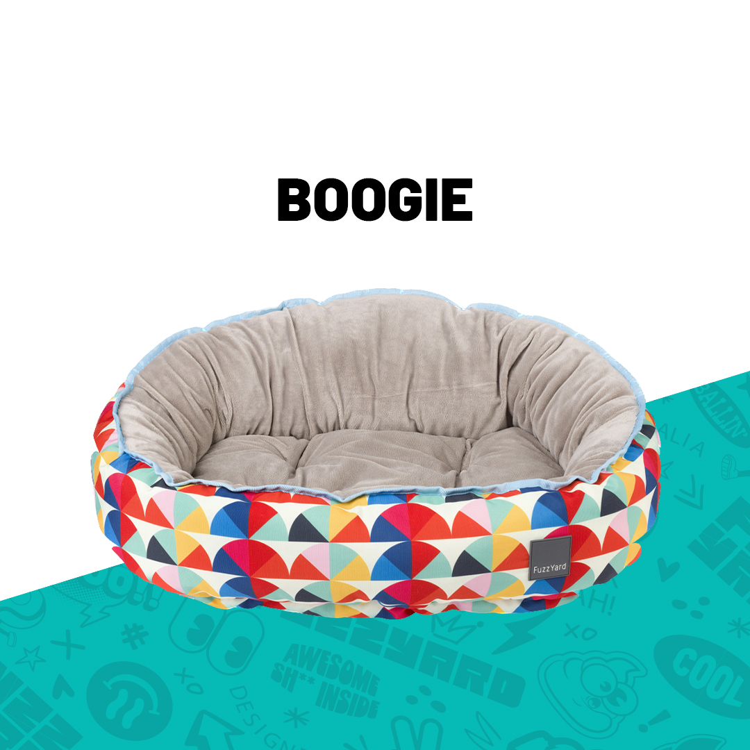 boogie