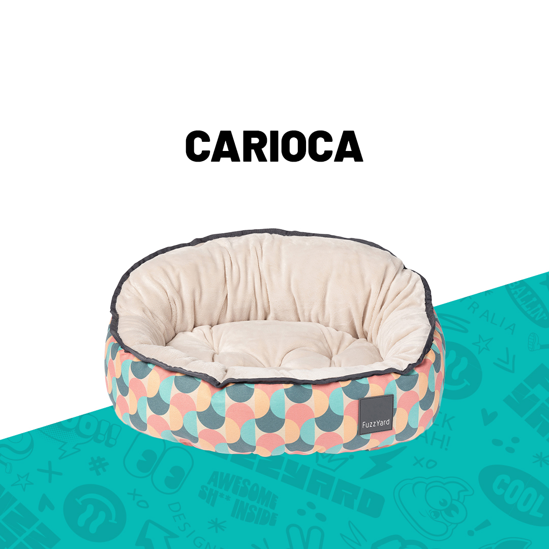 carioca