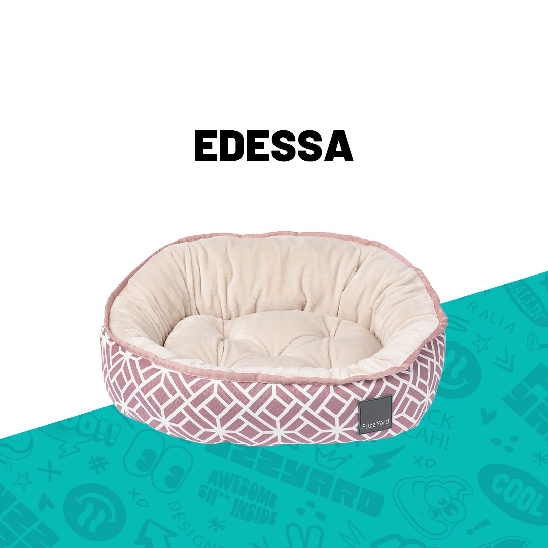FuzzYard Reversible Bed - Edessa